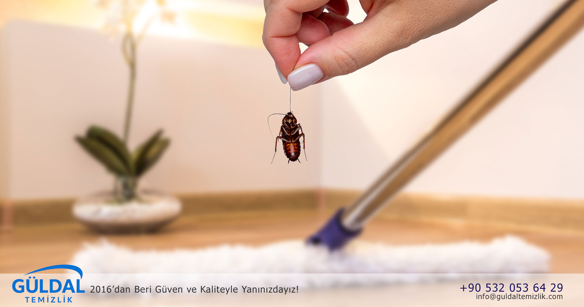 Uyuz Olan Ev Nasıl Temizlenir