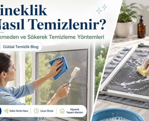 Sineklik Nasıl Temizlenir