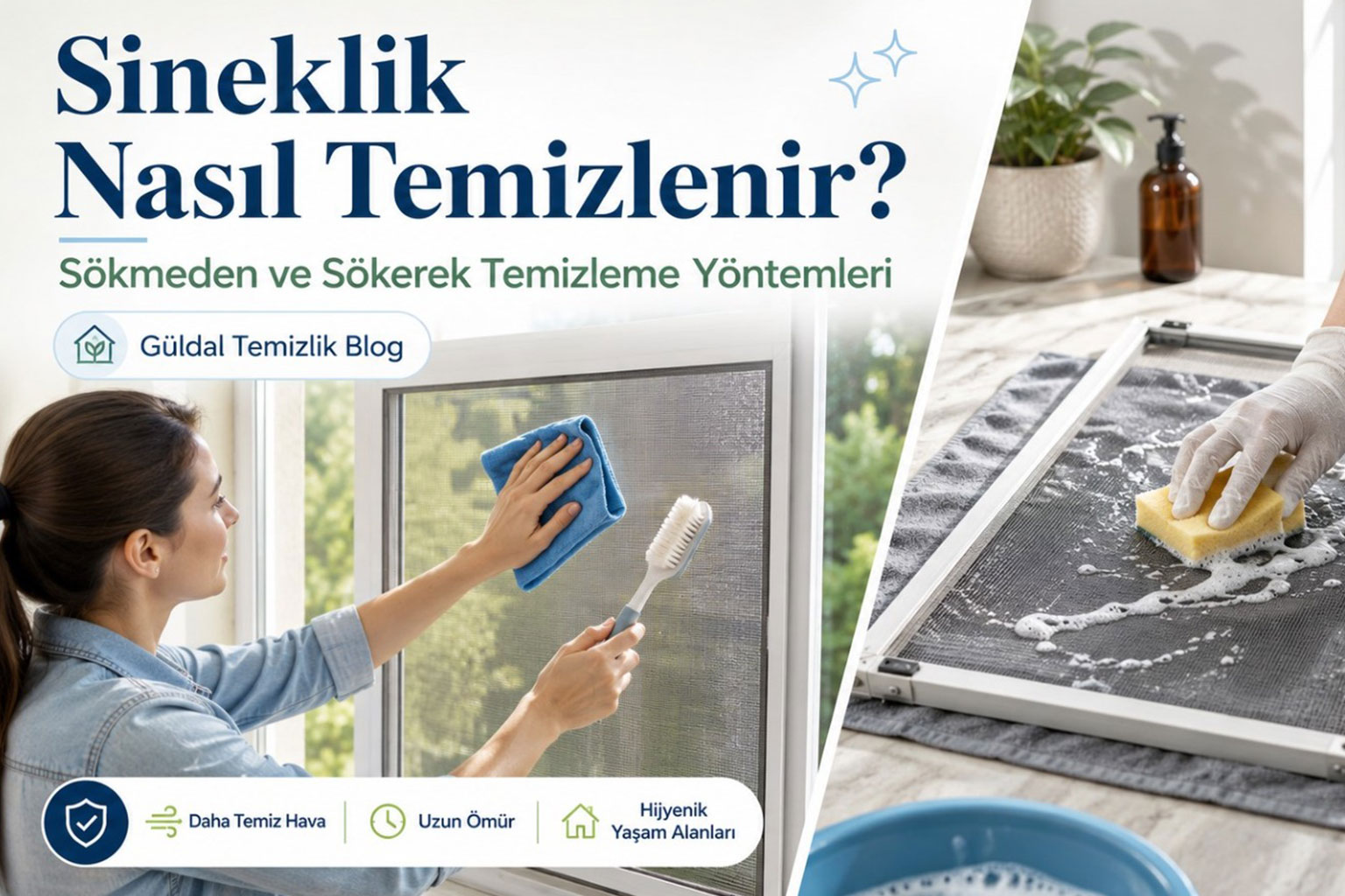 Sineklik Nasıl Temizlenir